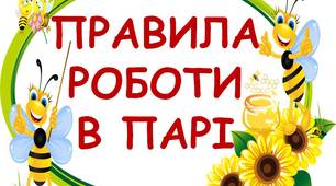 НУШ_ПРАВИЛА РОБОТИ В ПАРІ_БДЖІЛКИ (1 - 4 клас)_Картки для друку