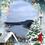 Ткачів Світлана Ярославівна