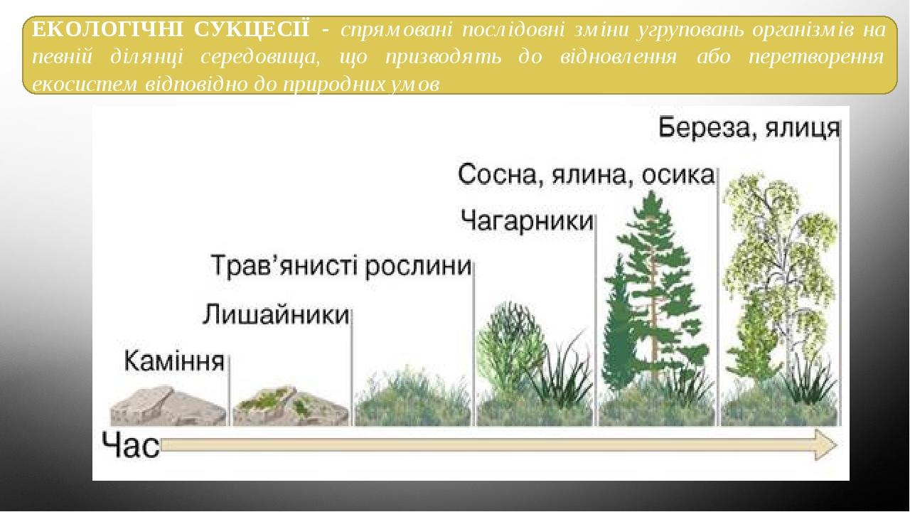 ЕКОЛОГІЧНІ СУКЦЕСІЇ - спрямовані послідовні зміни угруповань організмів на певній ділянці середовища, що призводять до відновлення або перетворення...