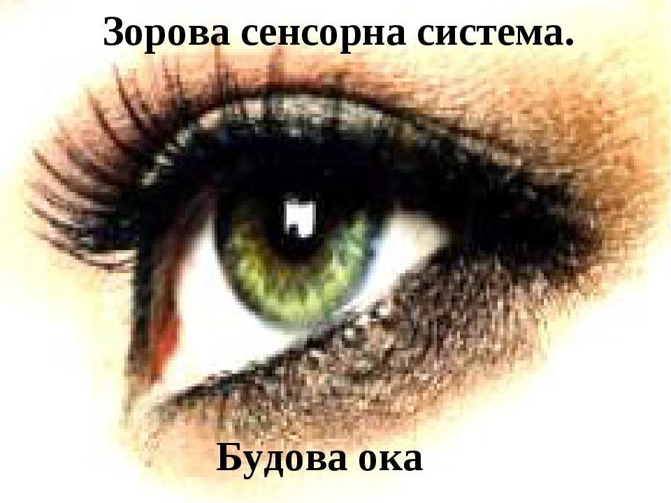 Зорова сенсорна система. Будова ока