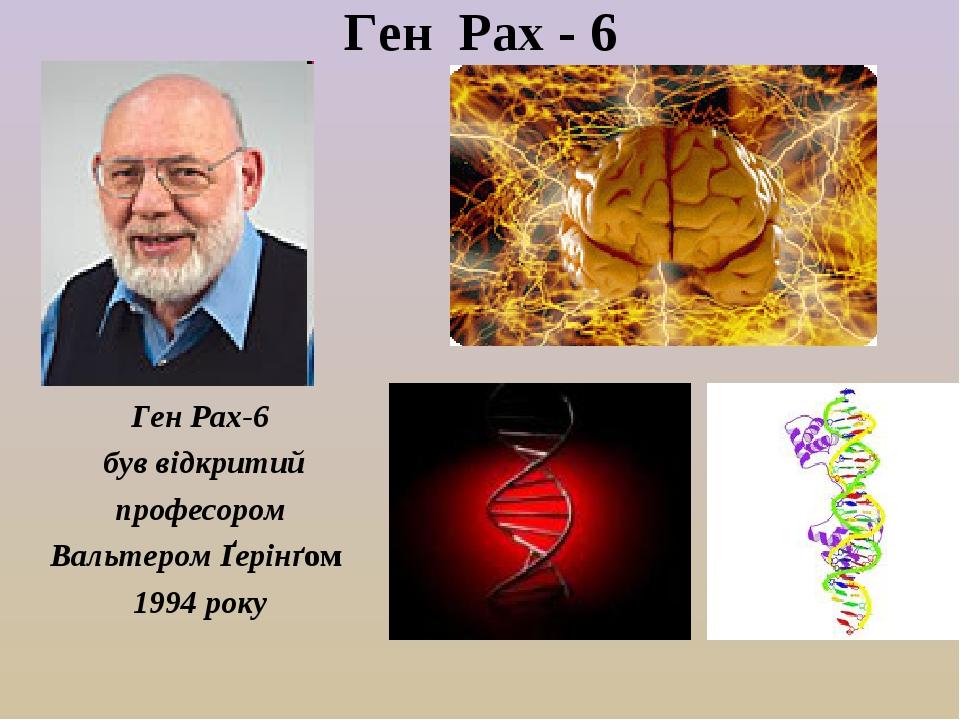 Ген Pax - 6 Ген Pax-6 був відкритий професором Вальтером Ґерінґом 1994 року