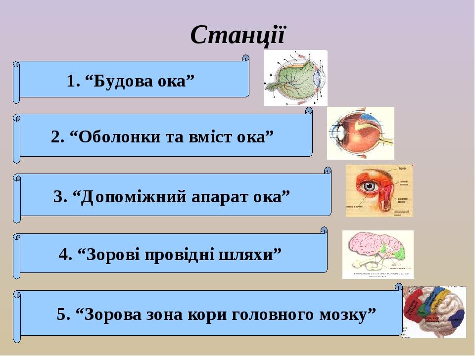 Станції “Будова ока” 2. “Оболонки та вміст ока” 3. “Допоміжний апарат ока” 4. “Зорові провідні шляхи” 5. “Зорова зона кори головного мозку”