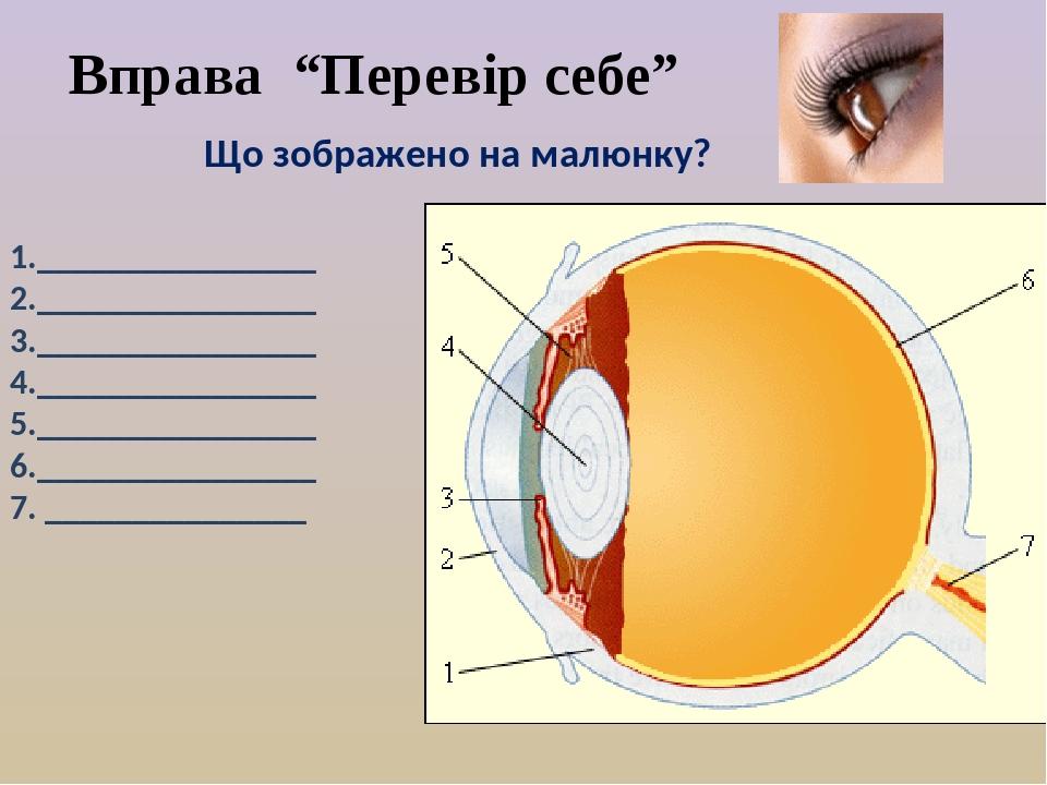 1.________________ 2.________________ 3.________________ 4.________________ 5.________________ 6.________________ 7. _______________ Що зображено н...