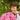 Аватар профіля