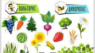ЯДС: культурні та дикорослі рослини