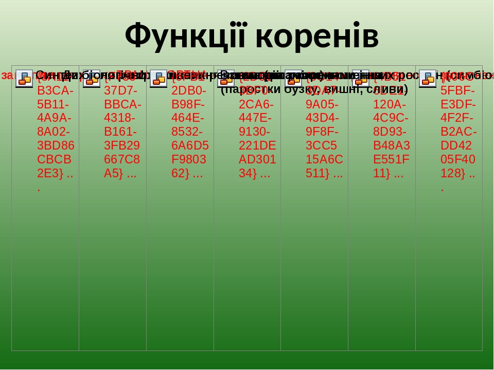 Фон корен характеристика