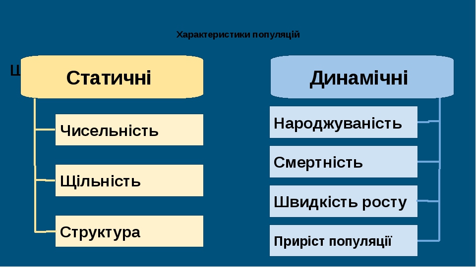 Презентація