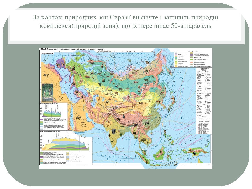 Природные зоны турции карта на русском