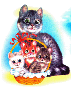 кошки