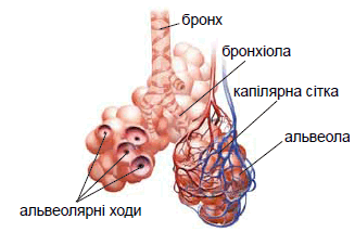 008-327x214.png