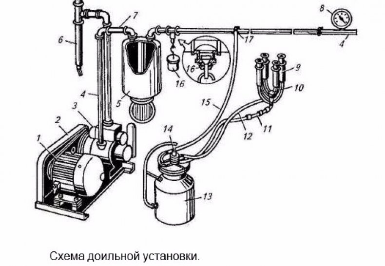 Схема подключения доильного аппарата