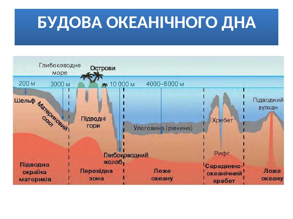 Рельеф мирового океана схема