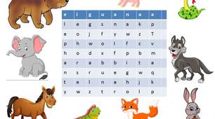 Картки. Презентація "Zoo animals". Цікаві завдання