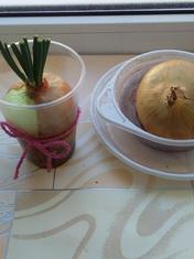 01009ki2-1b75-176x235.jpg