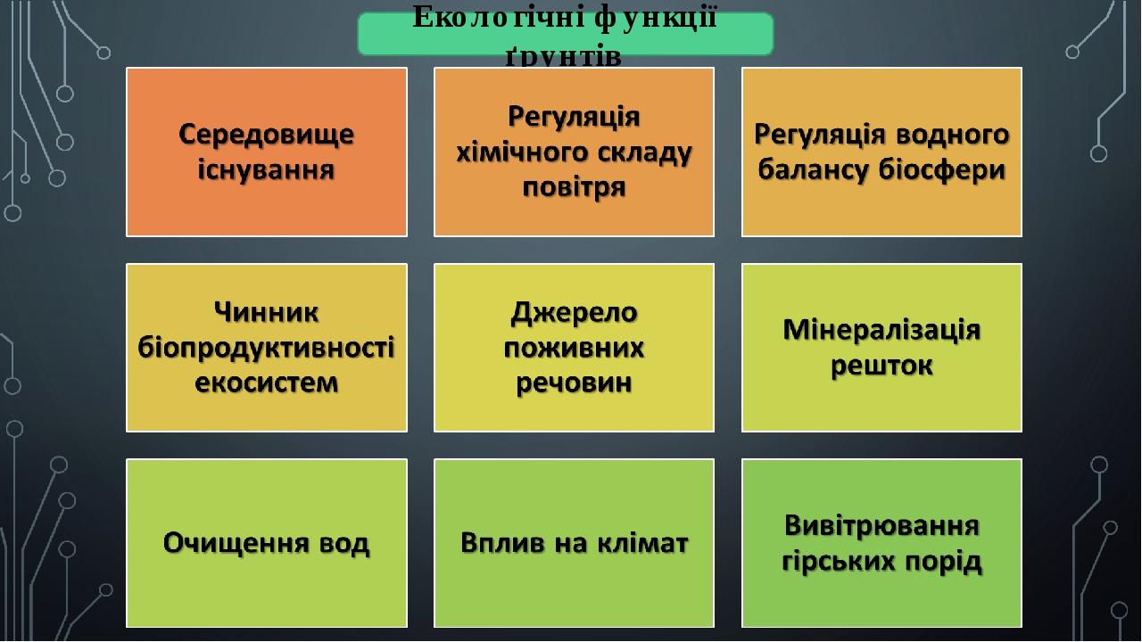 Екологічні функції ґрунтів