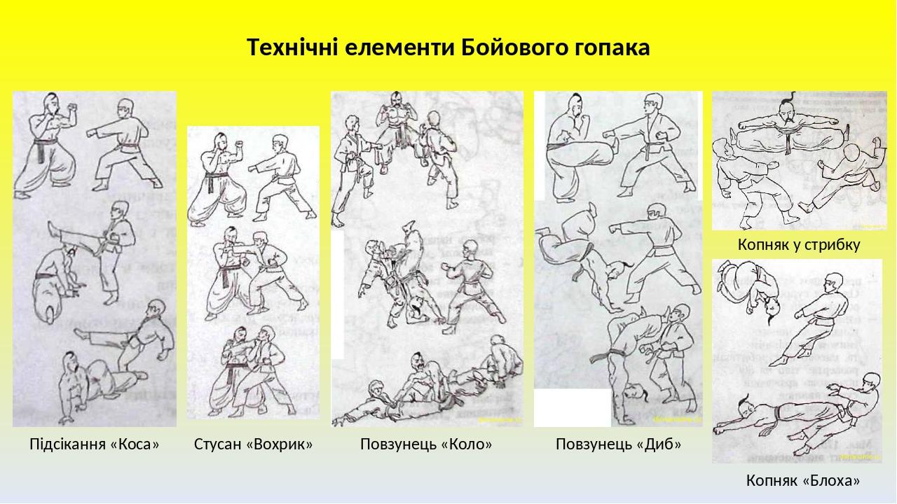 Технічні елементи Бойового гопака Стусан «Вохрик» Повзунець «Коло» Копняк у стрибку Повзунець «Диб» Підсікання «Коса» Копняк «Блоха»