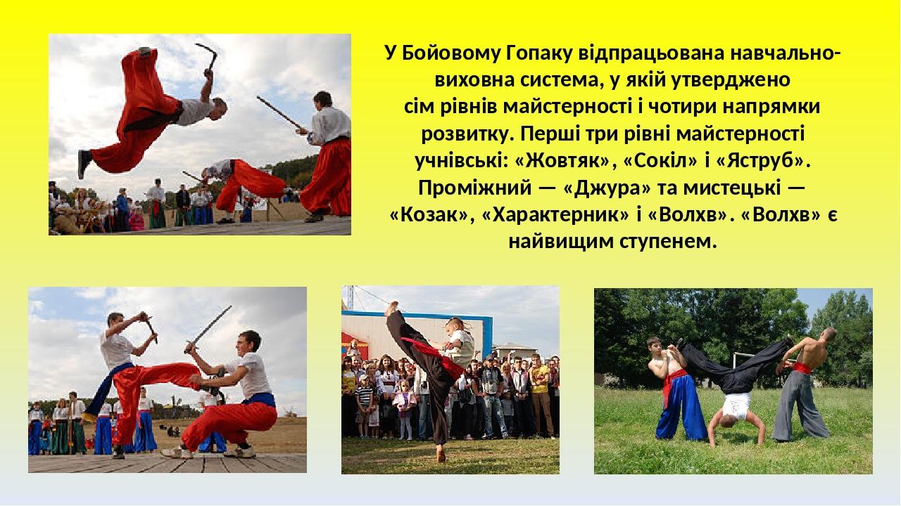 У Бойовому Гопаку відпрацьована навчально-виховна система, у якій утверджено сім рівнів майстерності і чотири напрямки розвитку. Перші три рівні ма...