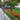 Аватар профіля