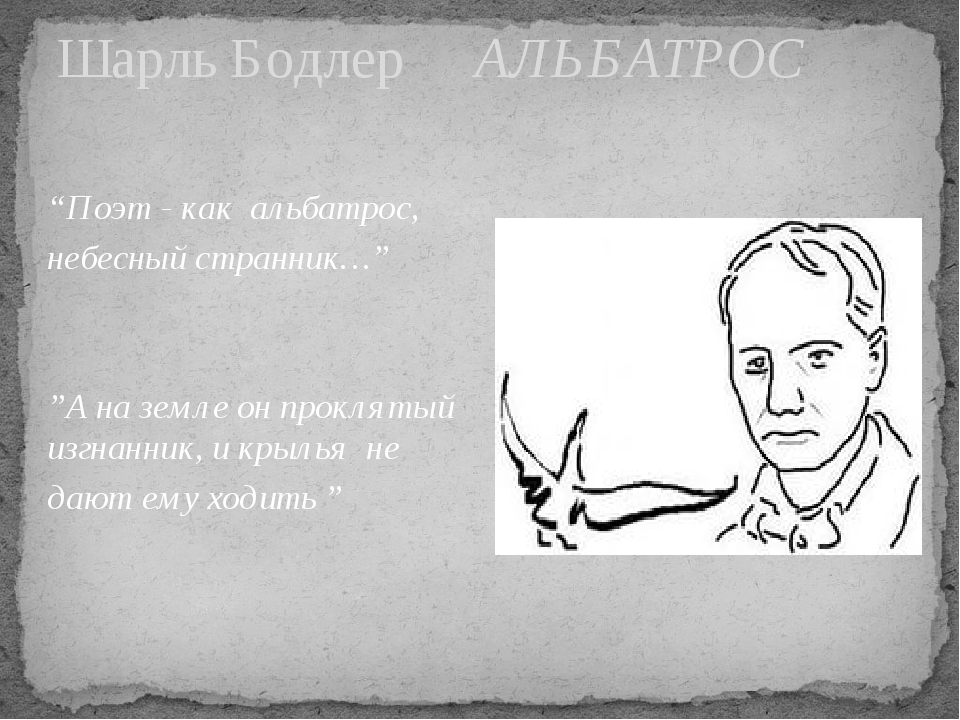 “Поэт - как альбатрос, небесный странник…” ”А на земле он проклятый изгнанник, и крылья не дают ему ходить ” Шарль Бодлер АЛЬБАТРОС “