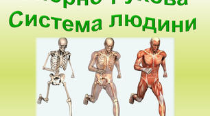 ЛС. Внутрішня медицина. Опорно-рухова система та колагенози