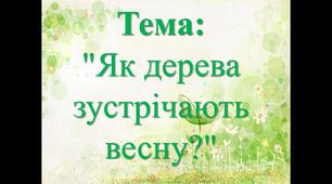 Презентація : "Як дерева зустрічають весну?" Природознавство 2 клас