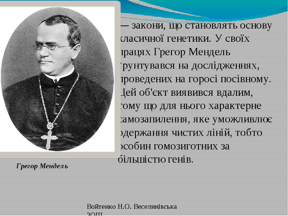 Отец генетики грегор иоганн мендель проект 11 класс