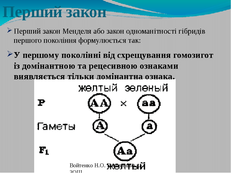 1 закон менделя схема