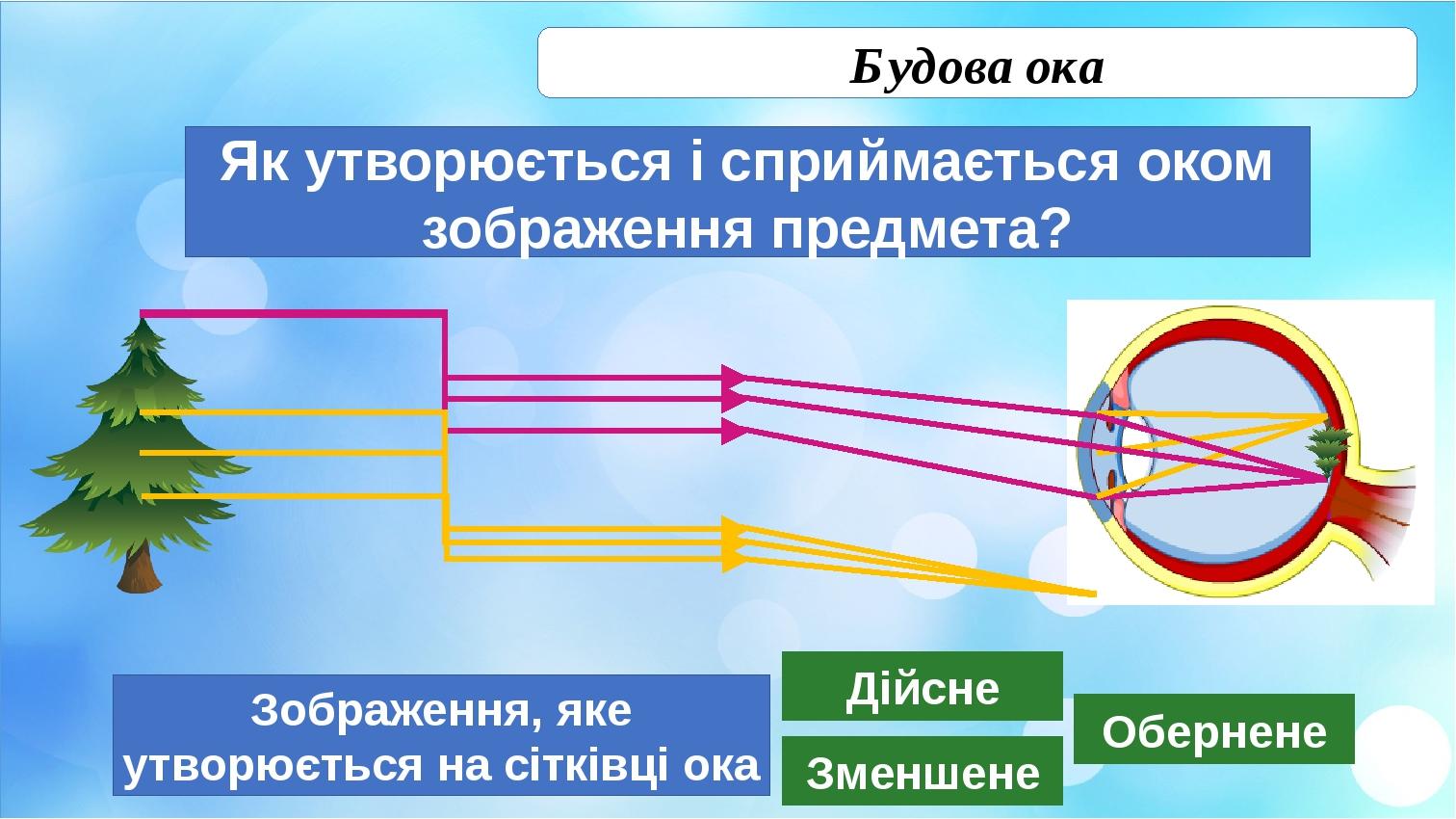 Око фм. Яке зображення виникає на сітківці Ока?. Як отримати дійсне збільшене зображення предмета. Дійсне зображення можемо отримати.