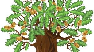 Інтегрований урок читання, природознавства та образотворчого мистецтва. В. Сухомлинський «Пять дубків». Як посадити дуб? Малювання дуба.
