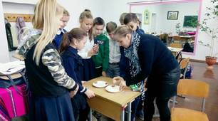 Практична робота "Будова яйця і хімічний склад яєць"