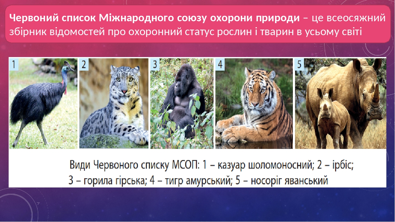 Презентація "Червона книга та чорний список видів тварин. Зелена ...