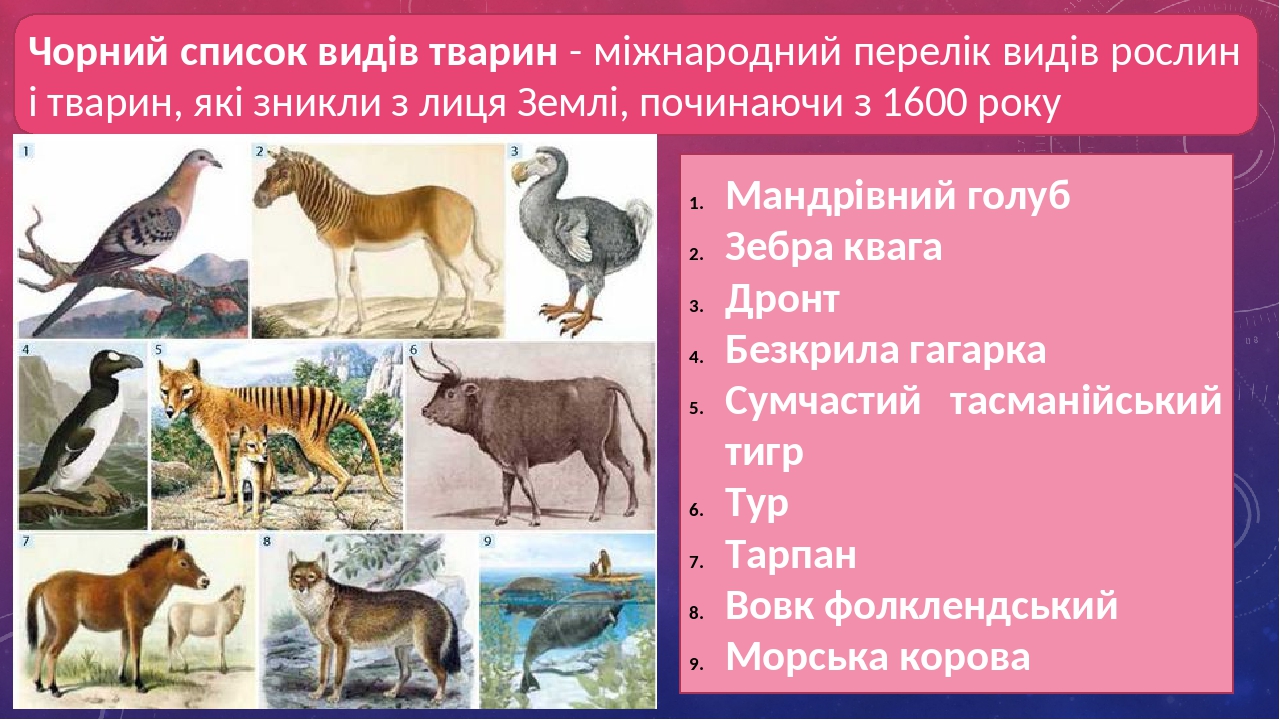 Презентація "Червона книга та чорний список видів тварин. Зелена ...