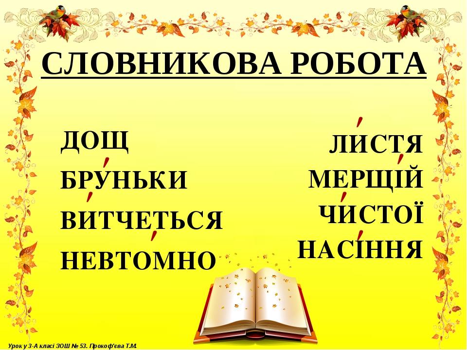 СЛОВНИКОВА РОБОТА ДОЩ БРУНЬКИ ВИТЧЕТЬСЯ НЕВТОМНО Урок у 3-А класі ЗОШ № 53. Прокоф'єва Т.М.