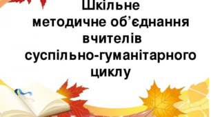 У Багринівській ЗОШ відбулося засідання МО суспільно-гуманітарного циклу