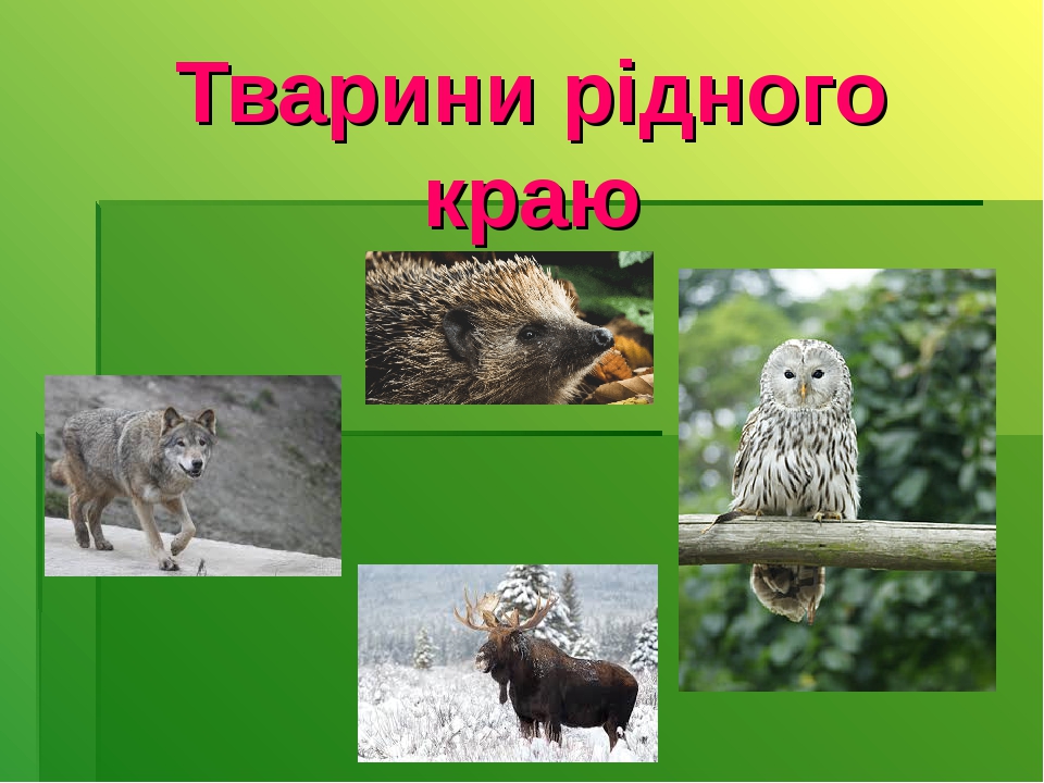 Я досліджую світ. 2 клас. Що «розкаже» про територію рідного краю ...