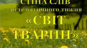 "Стіна слів" до тижня "Світ тварин".