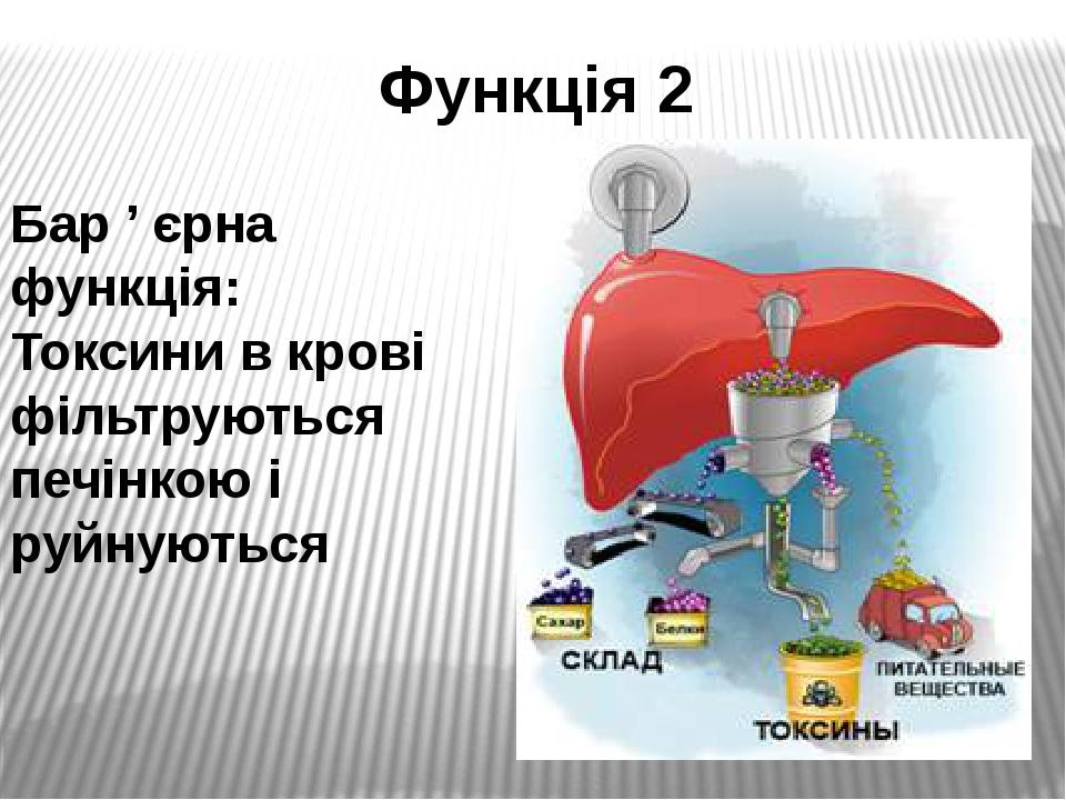 Корь санбюллетень картинки