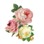 https://fs01.vseosvita.ua/01009zgi-fc3f-90x90.png