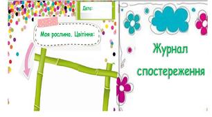 Журнал спостереження  (за рослиною)