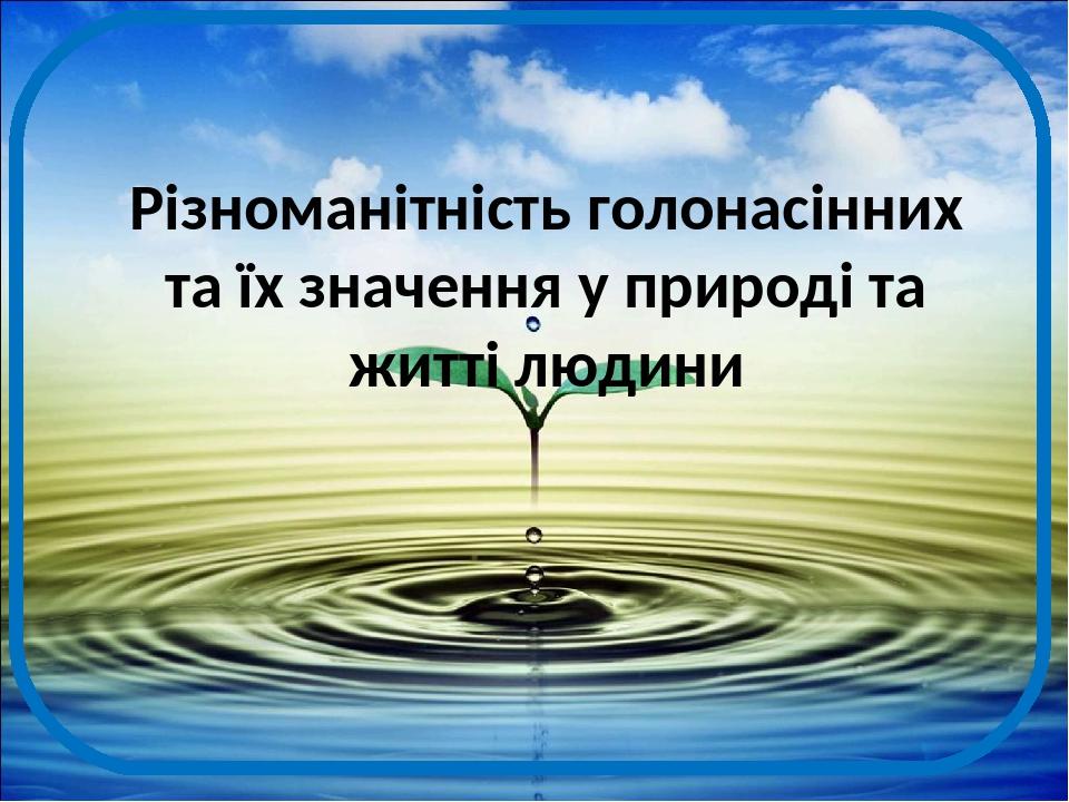 Реферат: Різноманітність голонасінних