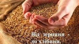 Конспект комплексного  заняття для старшої групи " Шлях зернини до хлібини"