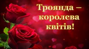 Презентація "Троянда в історії, легендах, мистецтві"