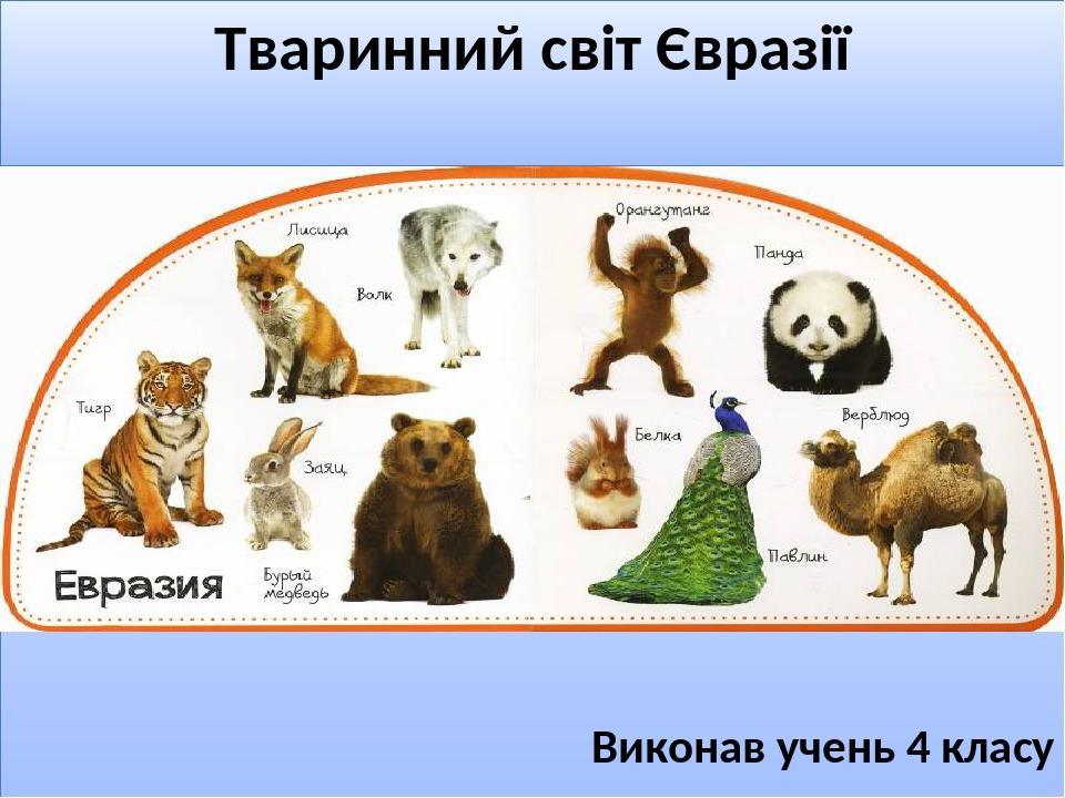 Презентація "Тваринний світ Євразії" | Презентація. Природознавство