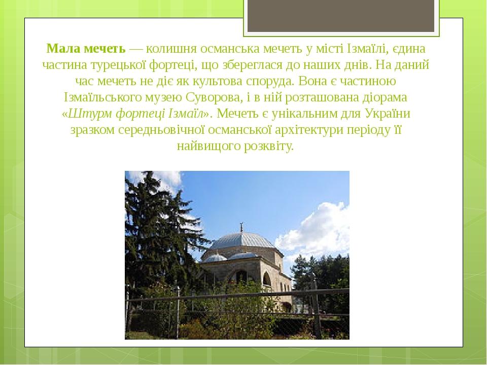 Мала мечеть — колишня османська мечеть у місті Ізмаїлі, єдина частина турецької фортеці, що збереглася до наших днів. На даний час мечеть не діє як...