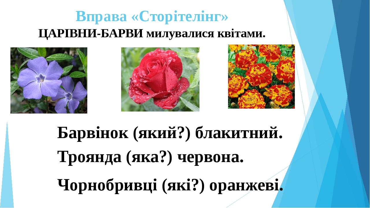 Результат пошуку зображень за запитом каліграфічна хвилинка барвінок