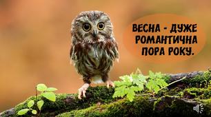 Весна. Відео з музичним супроводом про прихід весни  для початкової школи. На кожному слайдику цікаві написи про прихід весни. Як музичний супровід під час ранкових лінійок, свят про весну чи посто уроків.