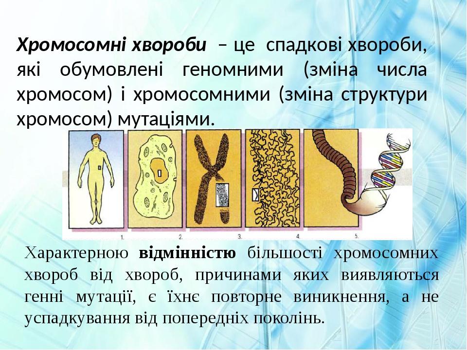 Хромосомні хвороби – це спадкові хвороби, які обумовлені геномними (зміна числа хромосом) і хромосомними (зміна структури хромосом) мутаціями. Хара...