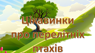 Презентація " Цікавинки про перелітніх птахів" 1 клас НУШ