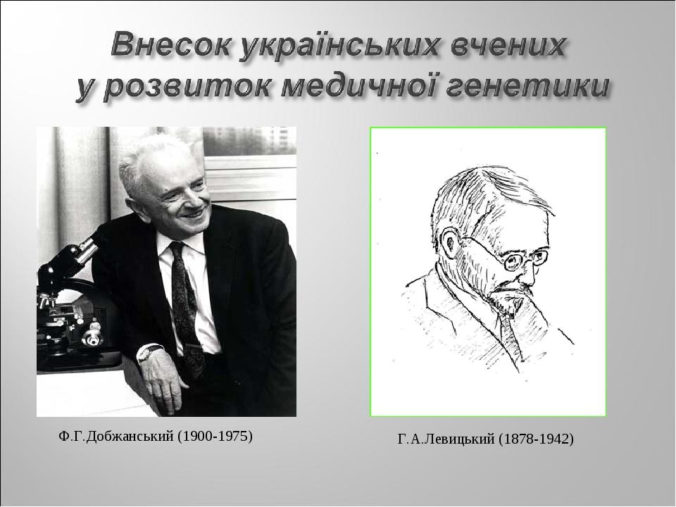 Ф.Г.Добжанський (1900-1975) Г.А.Левицький (1878-1942)