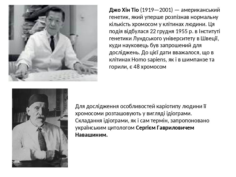 Джо Хін Тіо (1919—2001) — американський генетик, який уперше розпізнав нормальну кількість хромосом у клітинах людини. Ця подія відбулася 22 грудня...